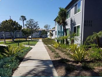 Beautifully landscaped courtyards